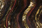Polished Tiger Iron Stromatolite - ( Billion Years) #95896-1